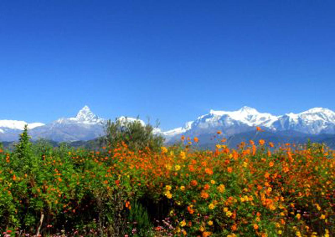 Fistail-mountain-pokhara